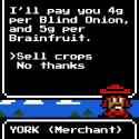 text_york03.jpg