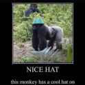 cool hat.jpg