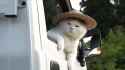 1749410105322842.webm