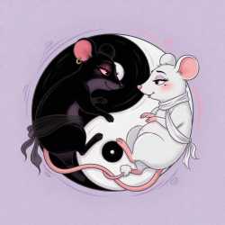 Yin n Yang.jpg
