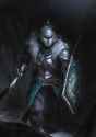 plate armour northern warrior.jpg