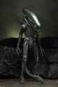 NECA-Alien-40th-Wave-4-Figures-008.jpg