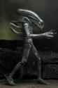 NECA-Alien-40th-Wave-4-Figures-013.jpg