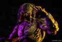 NECA-Ultimate-Unarmored-Assassin-Predator-016.jpg