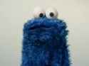 concerned cookie.png