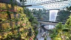Shiseido-FOREST.jpg