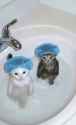 9616157928965879.webm
