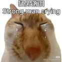 strongman cryibng.jpg