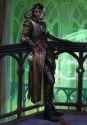 Owlcat-Games-Warhammer-40000-Rogue-Trader-Imperium-7605458.jpg