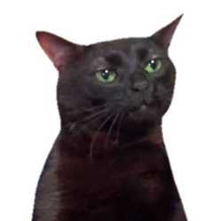 1730702461617070.png