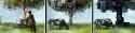 the hawken cow.png