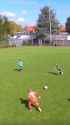 1728815911353878.webm