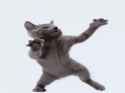 cat.gif