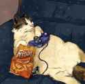 the gamer.jpg
