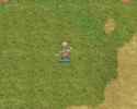 druid - raptor skills.webm