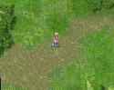 druid - magic skills.webm