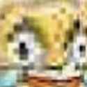 1550970048435.gif