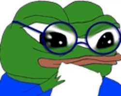 pepe-nerd.gif