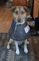 Screenshot_20260611-081403_Google.jpg