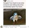 MikeHawk.jpg