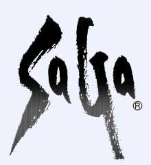 SaGa_text_logo.png