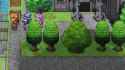 1779345506694286.webm