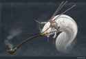birin smoking.jpg
