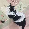 maid cat.jpg