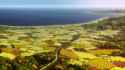 vinland22.jpg