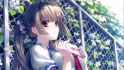 3-31192_anime-girl-wallpaper.jpg
