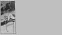 6MB COMPRESSED nhk145.jpg