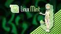 Mint-Chan-7.png