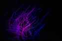 Violet Optic.jpg