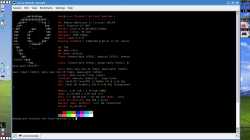 riced linux.png