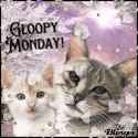 mondaycats.gif