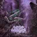 Infant Annihilator - Unholy Gravebirth.webm
