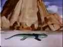 1528347097154.webm