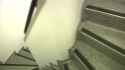 1548184221630.webm