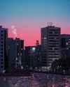 1754305154957975.webm