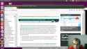cattle.webm