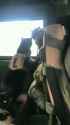 1774294001526966.webm