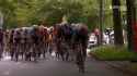 1780844554128192.webm
