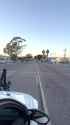 1780725444692456.webm