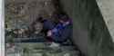 drunk with cats.webm