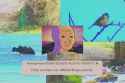 if only you knew how different things could be (6mb).webm