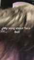 My Song About Taco Bell.webm
