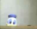 1756937113364937.webm