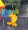 cats slide.mp4