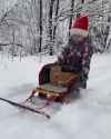 kid pushing cat in sled.webm
