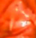 baph.png